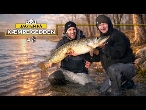 Fanger en 110cm Gedde med "Fishing Mats" 🎣| Jagten på Kæmpe Gedden #3