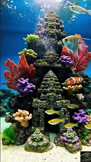The Aquarium Secret Nobody Talks About #aquarium #shorts