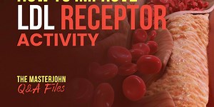 023: How to improve LDL receptor activity.