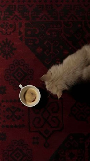 satyam on Instagram: "I am not a story with a lesson. I am a footnote in a text that was lost. A clarification for something that no one remembers needing clarification for. written by hey.stym . . . . . . . . #writers #thoughts #overthinking #fyp #foryou"