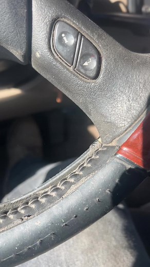 🎣 cocoliso 🎣 (@cocoliso.2684)’s videos with sonido original - 🎣 cocoliso 🎣