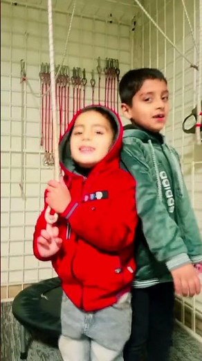 How Body Vibrator Stand-On Machine Works | Vibration Plate Working Explained #electricalinstallan