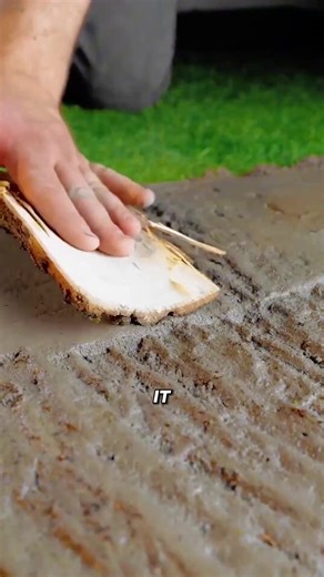 Olaf's Cute Adventure at Disneyland Paris