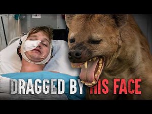 Hyena Horror: The Nicolas Hols Tragedy
