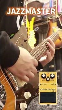 BOSS OD-3をギター5種で鳴らす🎸#bosseffects #od3 #ストラトキャスター #レスポール #ジャズマスター #sg #テレキャスター #seabird #shorts