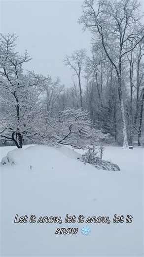 Danielle Cohn on Instagram: "So beautiful and peaceful to wake up to the first snowfall in Ridgefield, CT! Definitely sets the vibe to bake some sugar cookies and watch holiday movies ☺️ #snow #letitsnow #winterwonderland"