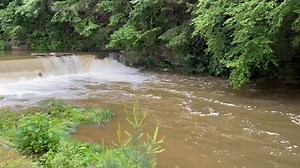 60K views · 513 reactions | We’ve had a lot of rain in Cook Forest recently. Check out Toms Run kiddie fishing pond and overflow! So majestic!! www.cabinscookforest.com www.cookforestfunpark.com www.cookforestcanoe.com If you stay with us, enjoy 10% discount on all our Fun Park and River activities! We have cabins available! | Cabins at Cook Forest | Facebook