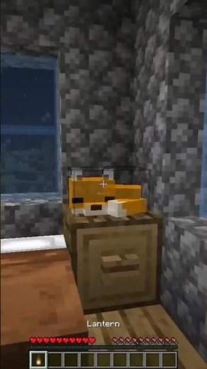 The Best Decoration for Your Home in Minecraft 🦊💡