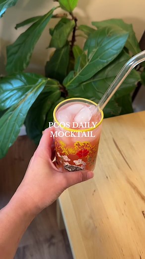 PCOS Daily Mocktail// Vinegar before meals or in between is one of my favorite little blood sugar hacks for PCOS (the BIG hacks are definitely more around what you are eating at your actual meals and activity) but vinegar rich cocktails or salad dressings are a game changer! If ACV drinks are NOT your vibe, comment *dressing* and I will send you my tried and true ACV salad dressing that everyone loves! A tbs of vinegar has been shown to decrease the glucose spoke of a meal up to 30% (PMID 312212