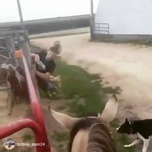 144K views · 835 reactions | HARD RIGHT, HARD RIGHT @lane.rodeo #ranchkids #minihorse #WreckWednesday #rodeo #rodeowrecks | Rodeo Wrecks | Facebook