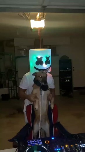 DJ Cleo played music for the trick-or-treaters #DJ #dog