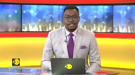 China's Summer and Autumn Harvests Drive Record Grain Output