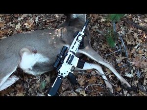 300 blackout deer hunt