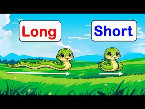 Long and Short for Kids | Nursery, UKG & Class 1 Maths | Pre Number Concepts | Bhavna Keswani
