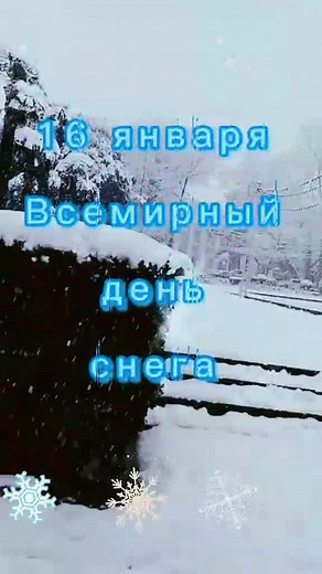 Snowy Landscape with Falling Snowflakes