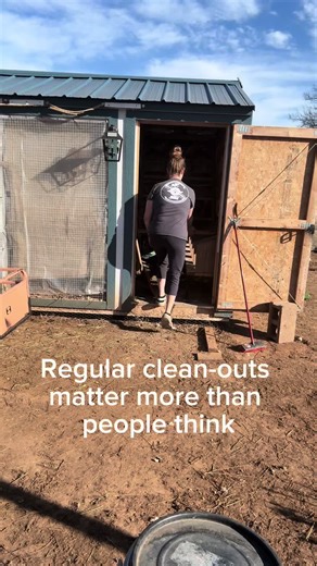 Essential Chicken Coop Clean-Out Tips for Homesteaders
