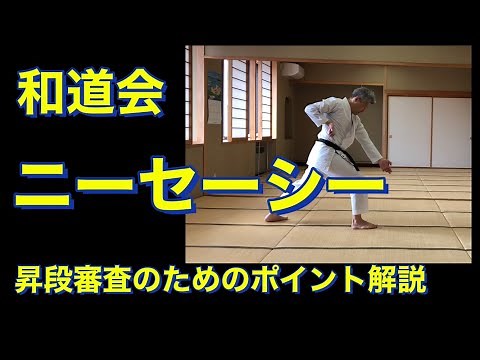 和道会 ニーセーシー 形ポイント解説