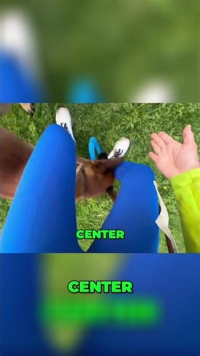 Dog Training Commands: Watch This Dog's Amazing Skill! #shorts