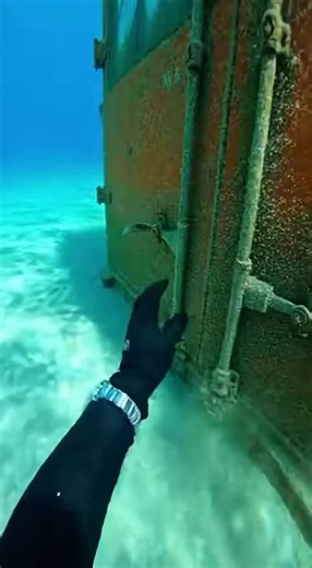 Scary Encounters While Scuba Diving