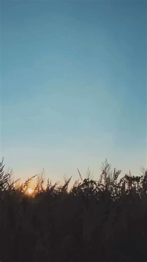 One of the most common myths about recovery is that someone has to...