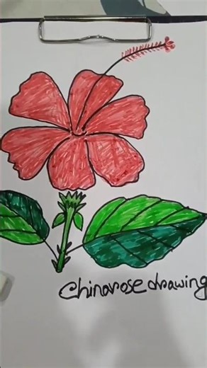how to draw a flower drowning step by step || #shorts #art #flowers #painting #drawing #videos