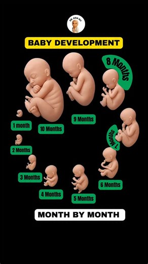 Asia Ali on Instagram: "👶 Fetal Development from 4 to 15 Weeks — Your Baby’s Magical Journey! 🌸✨ From a tiny cluster of cells to a moving little human — these weeks are full of wonder! 🌱 By week 4, your baby’s heart begins to form 💓, and by week 15, tiny fingers, toes, and facial features appear. 👣👶 Every week brings new growth and milestones — your baby is growing faster than you can imagine! 🌼 fetal development, pregnancy weeks, baby growth, first trimester, 4 to 15 weeks, fetal milesto