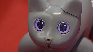 5.8K views · 113 reactions | Humanoid robots, bionic swifts, intelligent bionic robotic pet cats... World Robot Conference 2023 (WRC 2023) is held in Beijing from Aug. 16 to 22. Join us to explore the captivating realm of futuristic technological living! | China Xinhua Sci-Tech | Facebook