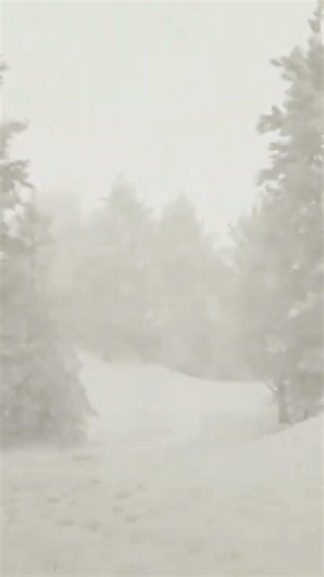 Blizzard Sounds for Sleep – 4 Hours of Howling Wind Ambience