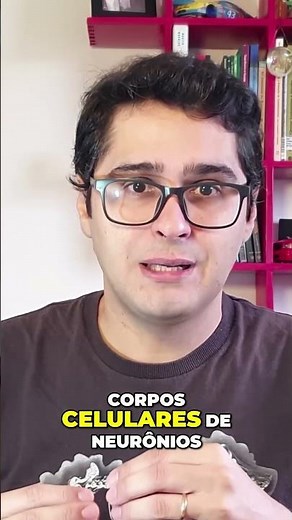 Sistema Nervoso Periférico: Nervos e Gânglios [Cortes OFMBio]