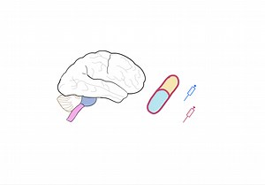 CNS Pharmacology Course — Medicosis Perfectionalis