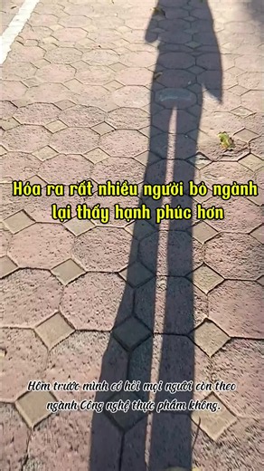 Ngành logistic làm gì? Từ bằng cấp đến công việc hiện tại