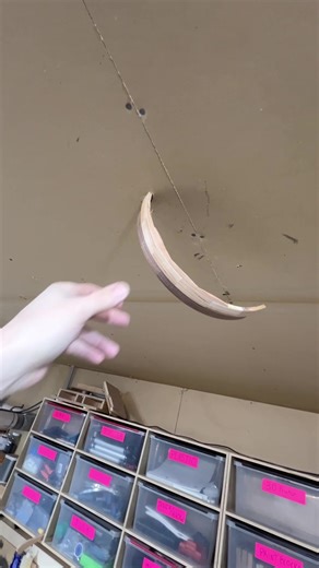 Unexpected Journey in Woodworking