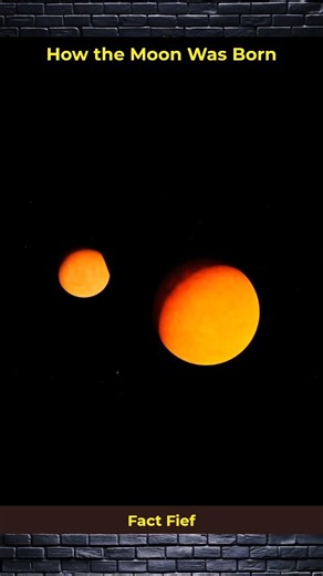 How the Moon Was Born | S57 | #shorts #ytshorts #facts #fact