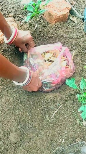 Secret!! A simple and practical way to make compost directly into the soil from kitchen waste.