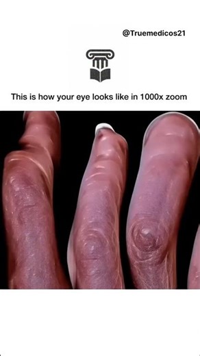 Anatomy of human eye#explore #anatomy #shortvideo#shortsfeed #shorts#subscribers#yt#medico #medical