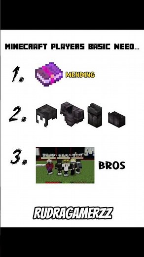 Minecraft basic needs #minecraft #minecraftshorts #minecraftmemes #minecraftfriend #minecraftbro