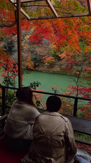 This is your sign to visit Japan in Autumn. The best time to see Autumn colours 🍁in Japan is from October to December. The dates will vary depending on the area and they will change from year to year. The colder the region the early the leafs will change colour. My recommendation is to check the yearly forecast and aim to be there before the peak because after the peak the leafs start falling pretty quick. 🍁🍂 #japantravel #kyotoautum #autumnjapan #arashiyama #tokyoautumn #momiji