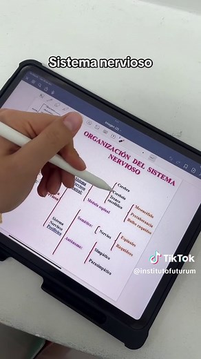 TikTok - Make Your Day