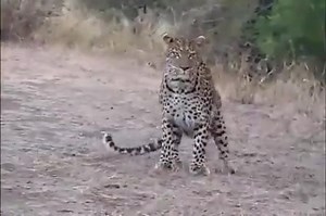 #extraordinario❤️🔥🔥🔥🔥🔥 | La Historia Musical De México