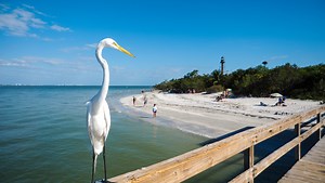 Lee Tourism: Celebrate tourism with Travel Rally