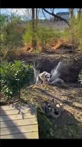 #tube #seamlesssteeltube #PrecisionSteelTube #professional #container #loading