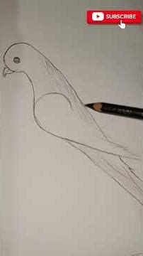 How to draw Parrot |