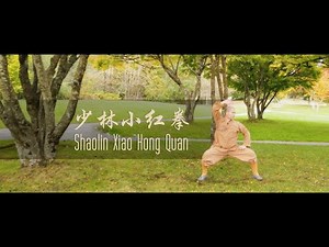 Shaolin XiaoHong Quan ( 少林小红拳) with Master Shi Yandi (释延荻)