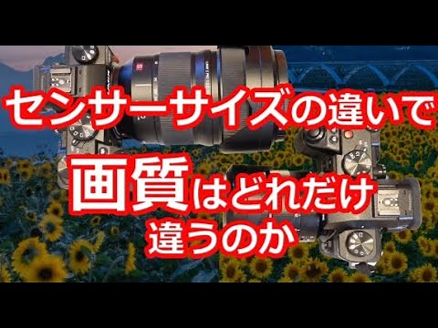 センサーサイズの違いで画質はどれだけ違うのか？