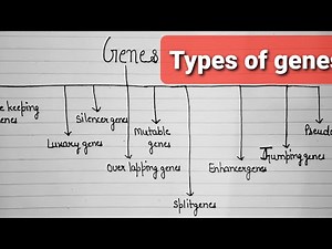 genes||Types of genes || different types of genes||Functions of genes