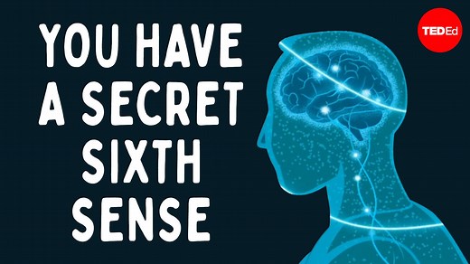 We don’t often think of touch as being a vital part of movement, but touch is part of a network that oversees all your body’s sensations. So, what would happen if you lost your sense of touch? | TED-Ed