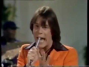 Showaddywaddy Doo wah Diddy