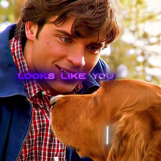 YOU THOUGHT YOU ADOPTED A DOG BUT YOU RECRUITED A TANK... 🐕🚜 | Smallville #SuperDog #Superman