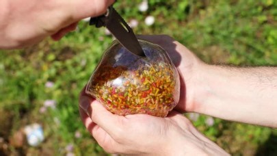 Expérience Innovante pour les Enfants : Explorer la Créativité