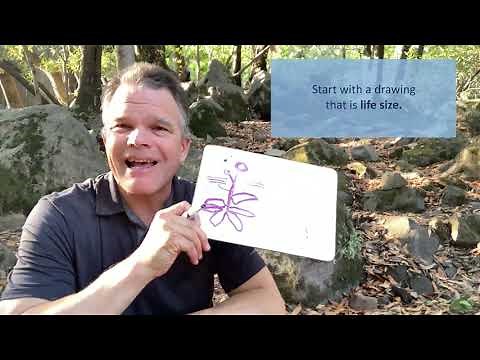 The Nature Journal Connection, Episode 4, Zoom In-Zoom Out